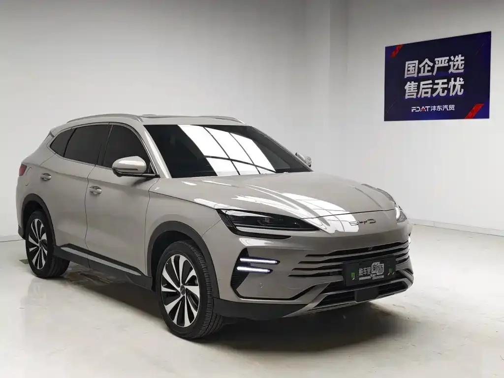 BYD PLUS New Energy — фото 9