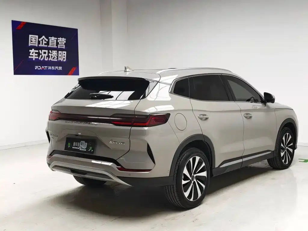 BYD PLUS New Energy — фото 4