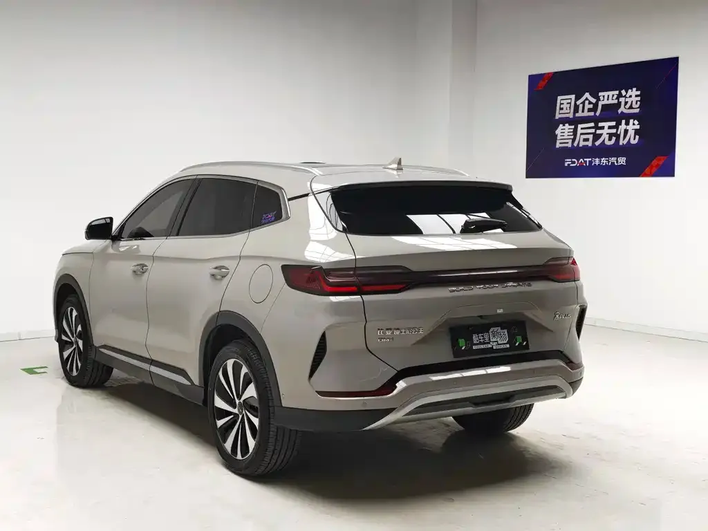 BYD PLUS New Energy — фото 3