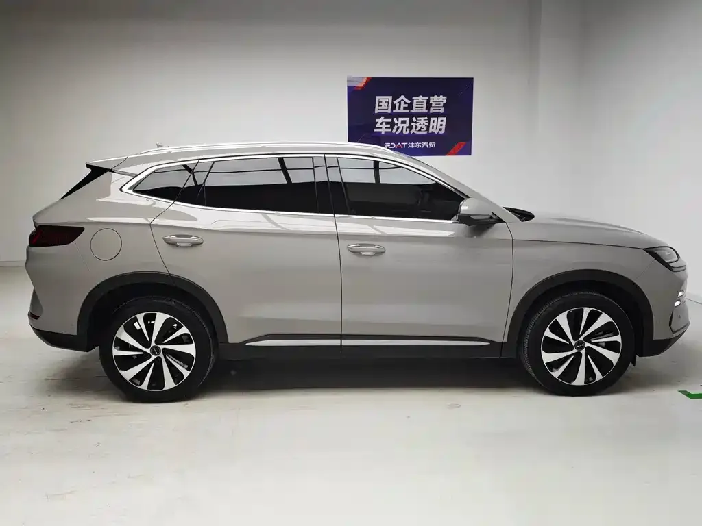 BYD PLUS New Energy — фото 6