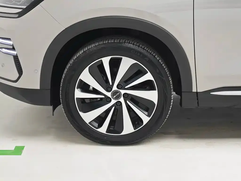 BYD PLUS New Energy — фото 2