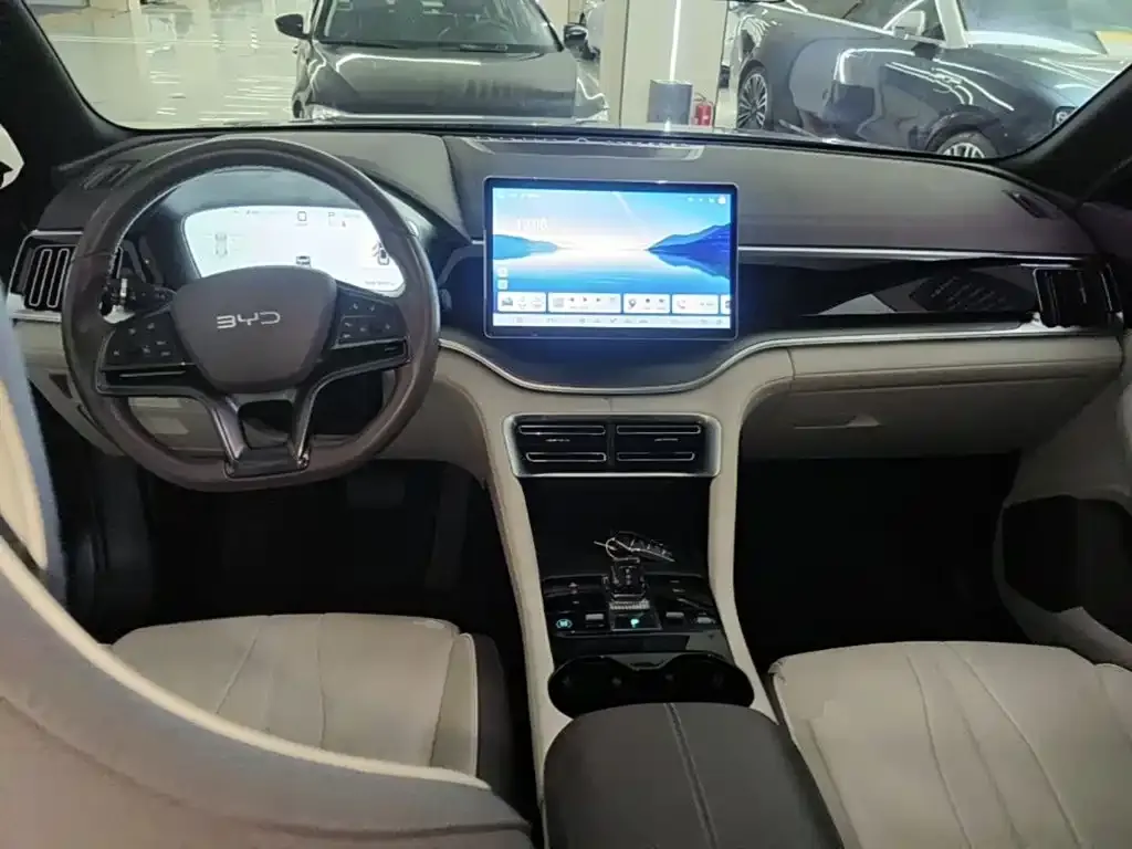 BYD PLUS New Energy — фото 10