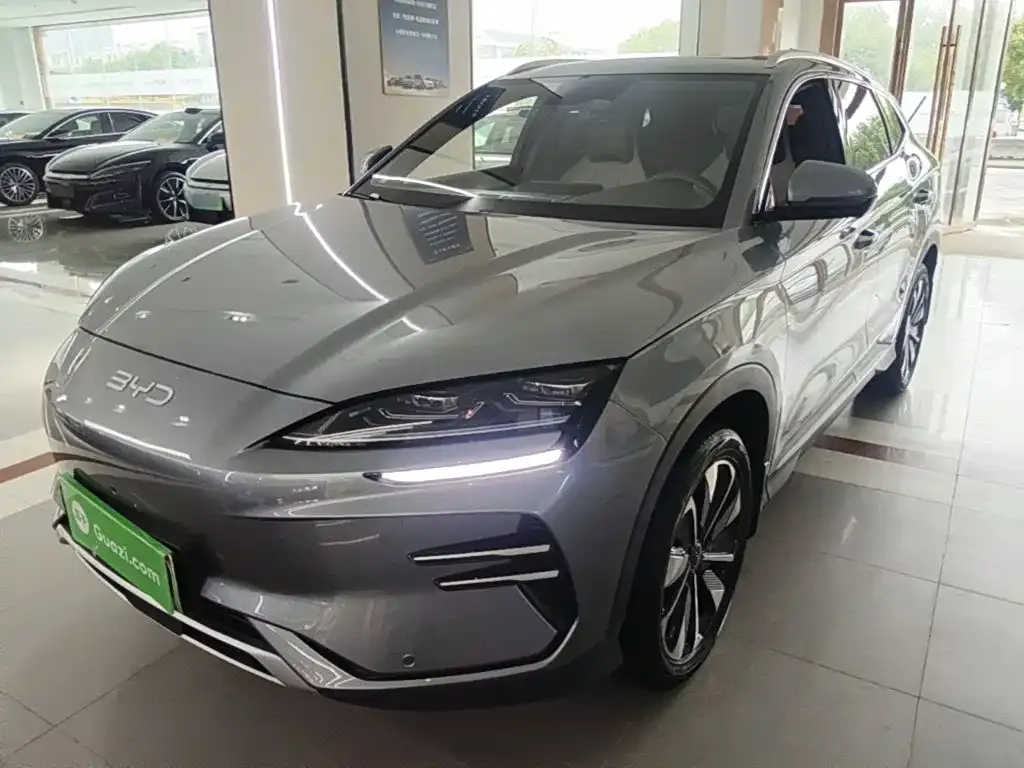 BYD PLUS New Energy — фото 8