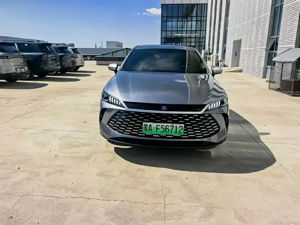 BYD Qin PLUS — фото 4