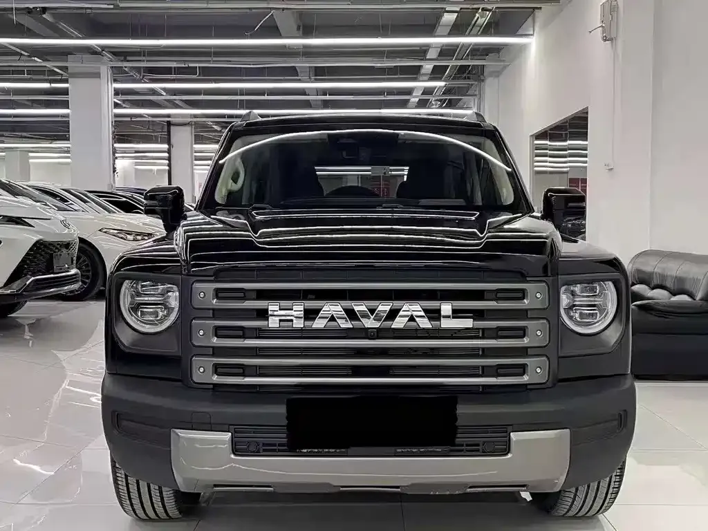 Haval Menglong New Energy — фото 9