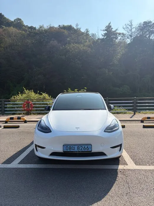 Tesla Model Y — фото 4