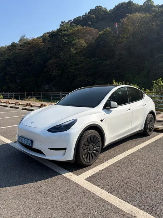 Tesla Model Y — фото 7