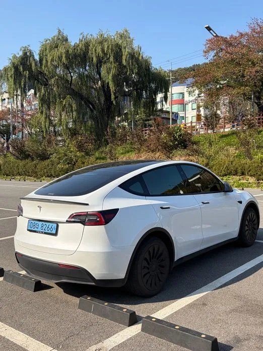 Tesla Model Y — фото 5