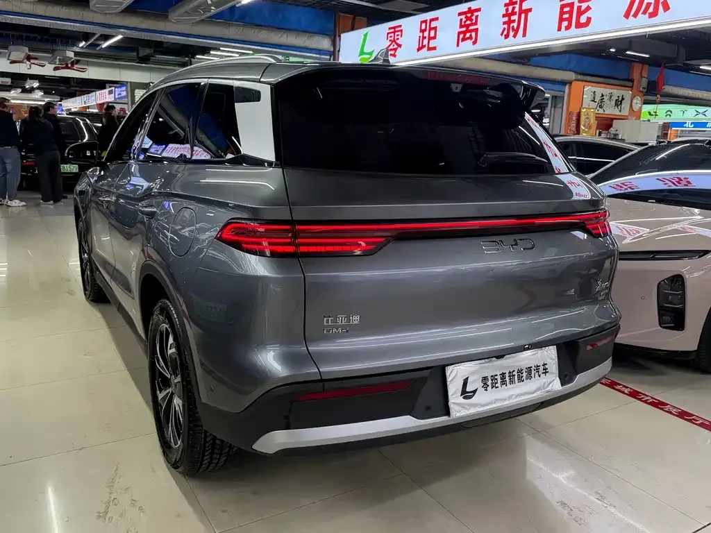 BYD Pro New Energy — фото 2