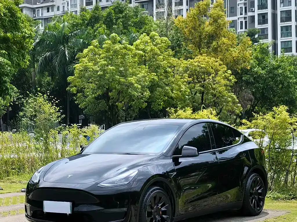 Tesla Model Y — фото 1