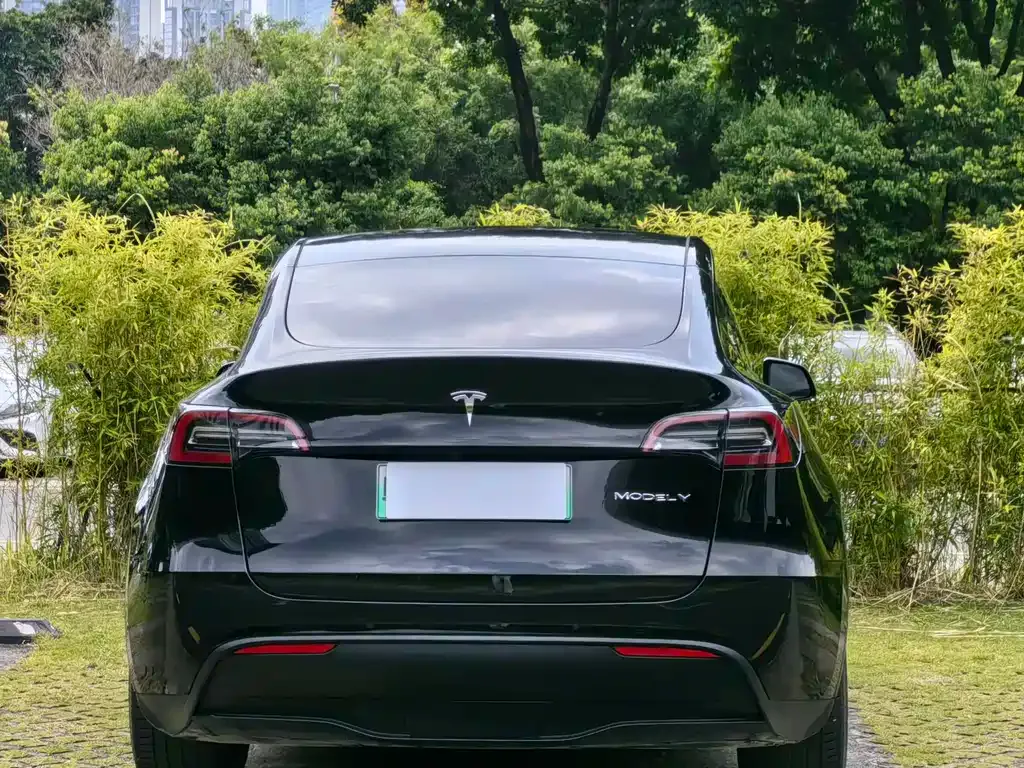 Tesla Model Y — фото 4