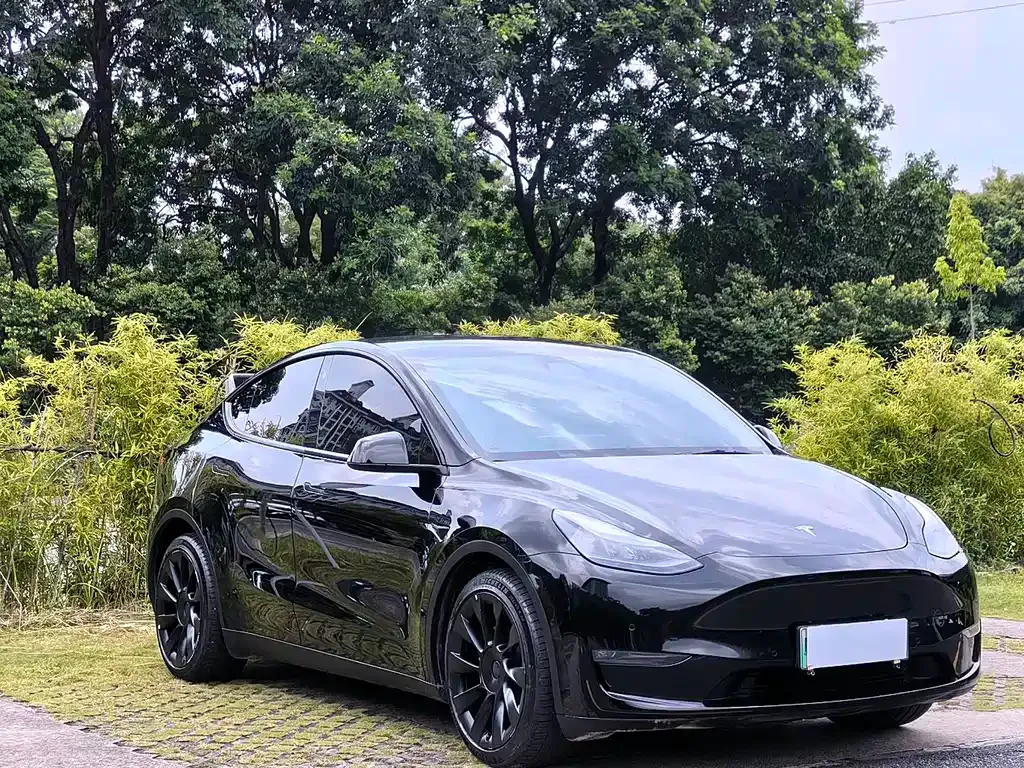Tesla Model Y — фото 7