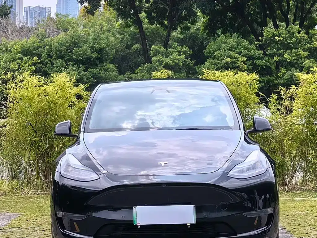Tesla Model Y — фото 9