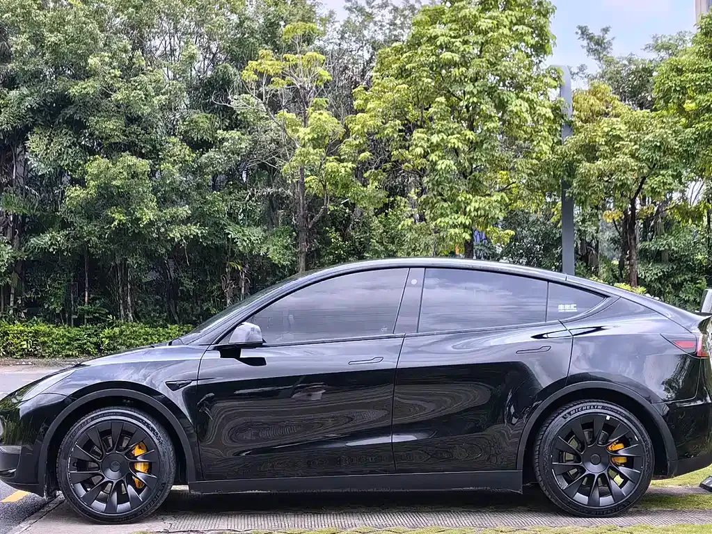 Tesla Model Y — фото 10