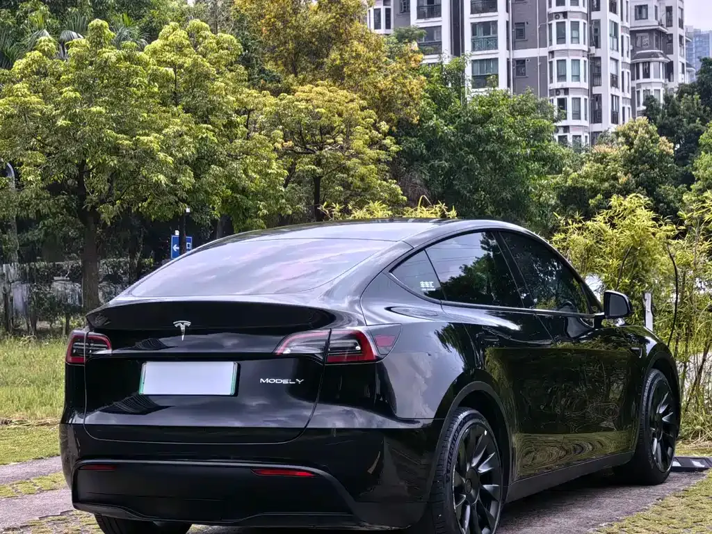 Tesla Model Y — фото 5