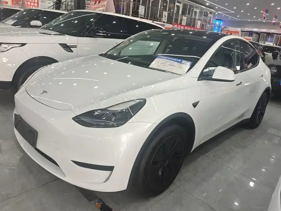 Tesla Model Y — фото 1