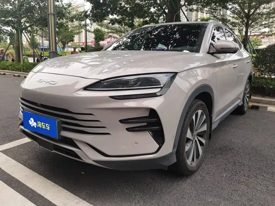 BYD PLUS New Energy — фото 1