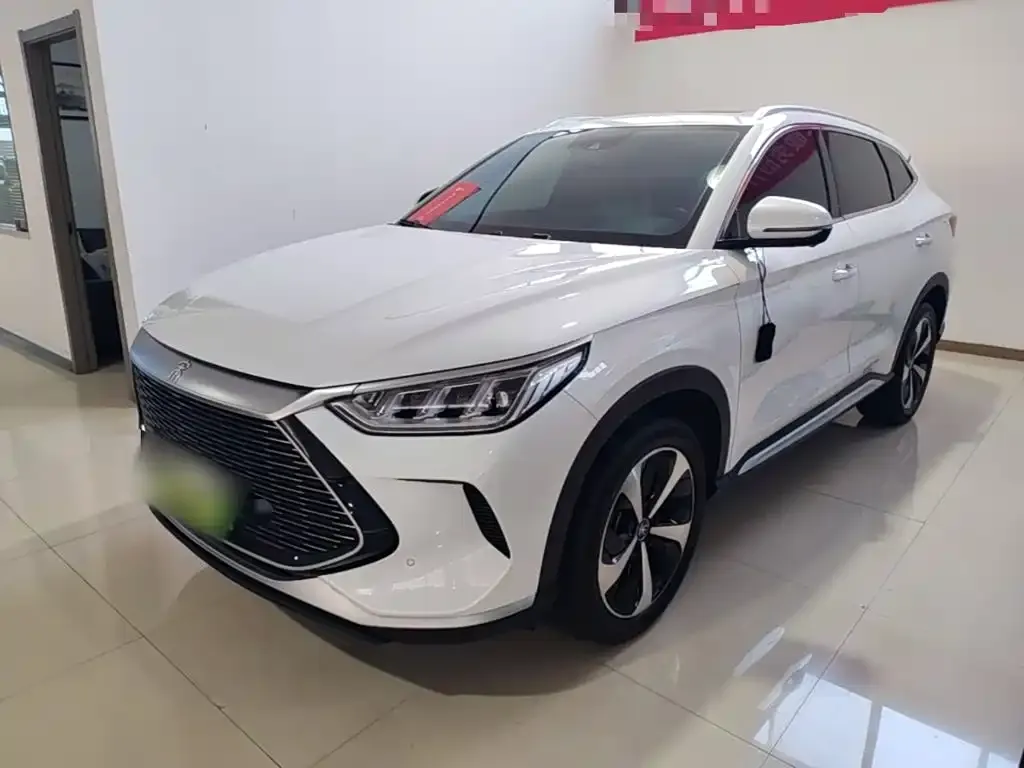 BYD PLUS New Energy — фото 1