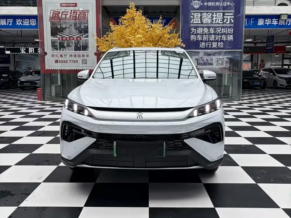 BYD Pro New Energy — фото 8