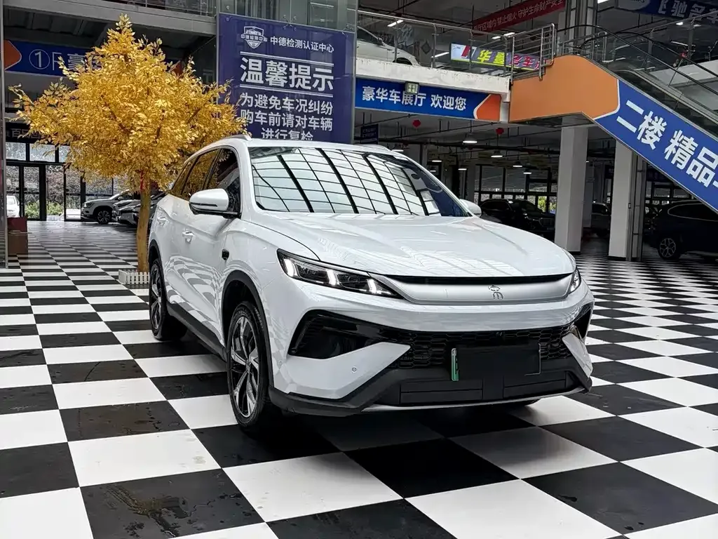 BYD Pro New Energy — фото 6