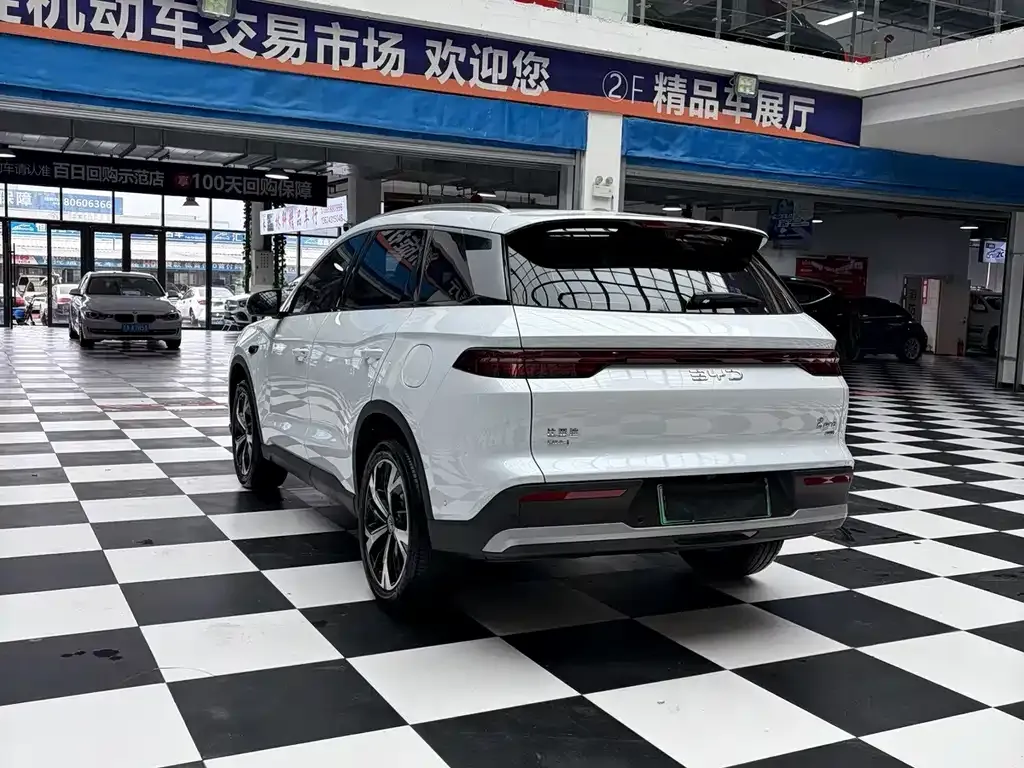 BYD Pro New Energy — фото 4