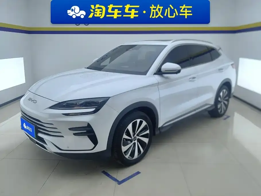 BYD PLUS New Energy — фото 1