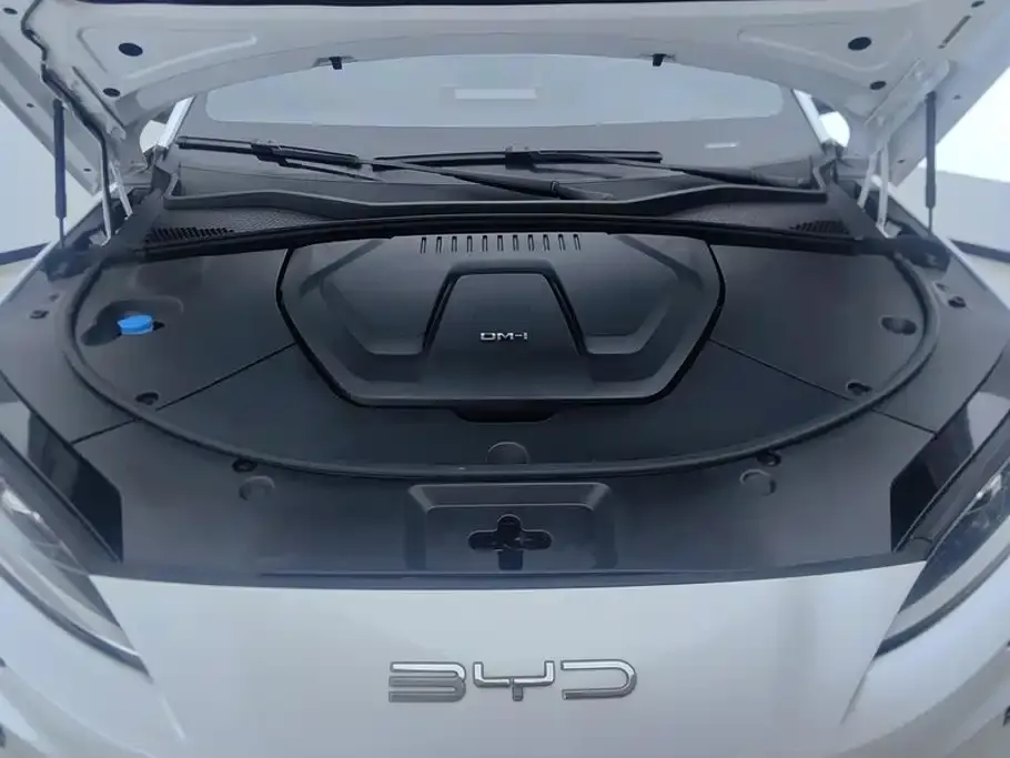 BYD PLUS New Energy — фото 2