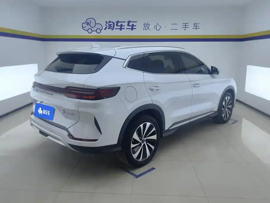 BYD PLUS New Energy — фото 5