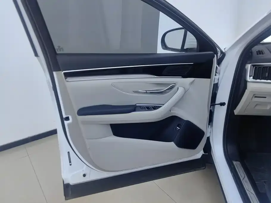 BYD PLUS New Energy — фото 4