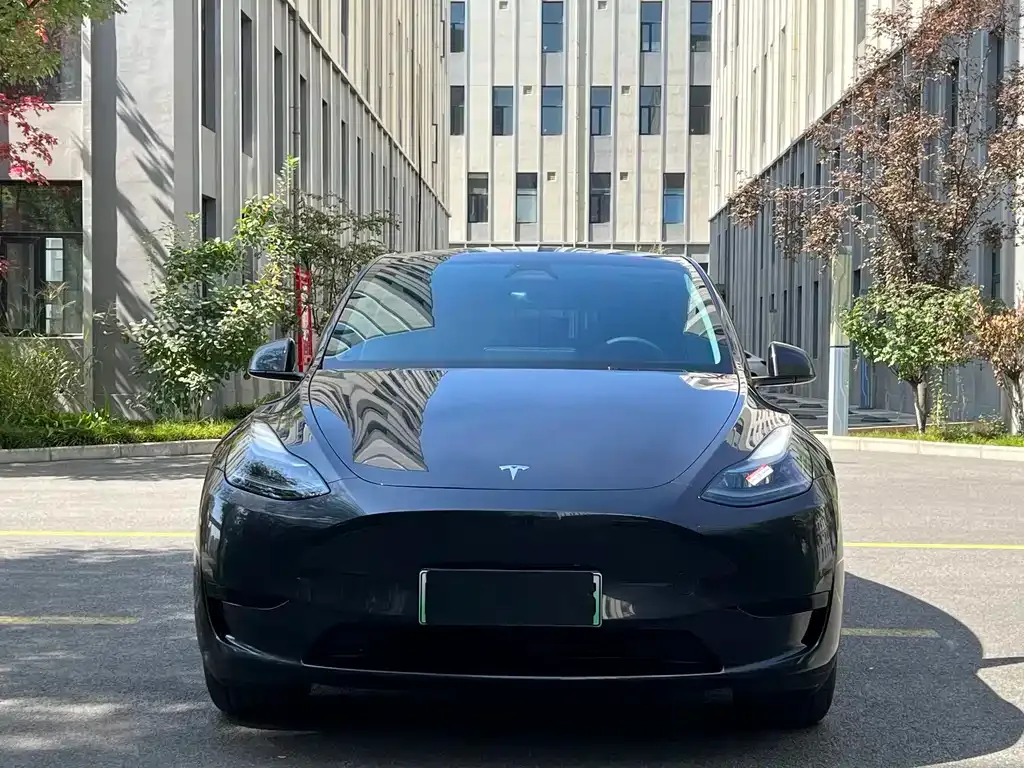 Tesla Model Y — фото 4