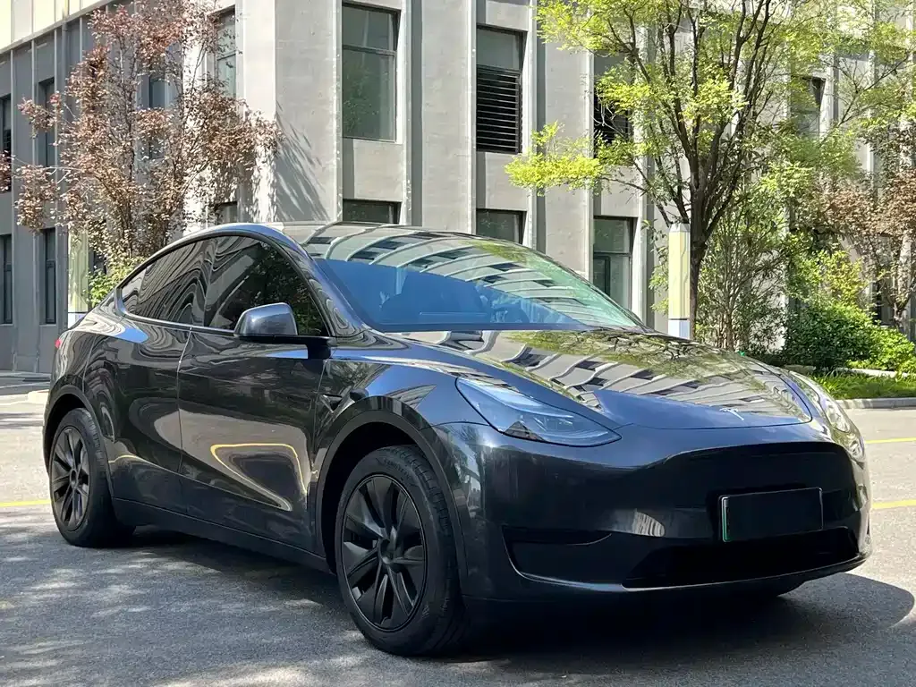 Tesla Model Y — фото 6