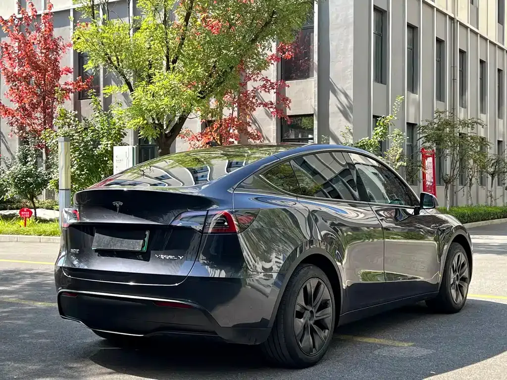 Tesla Model Y — фото 9