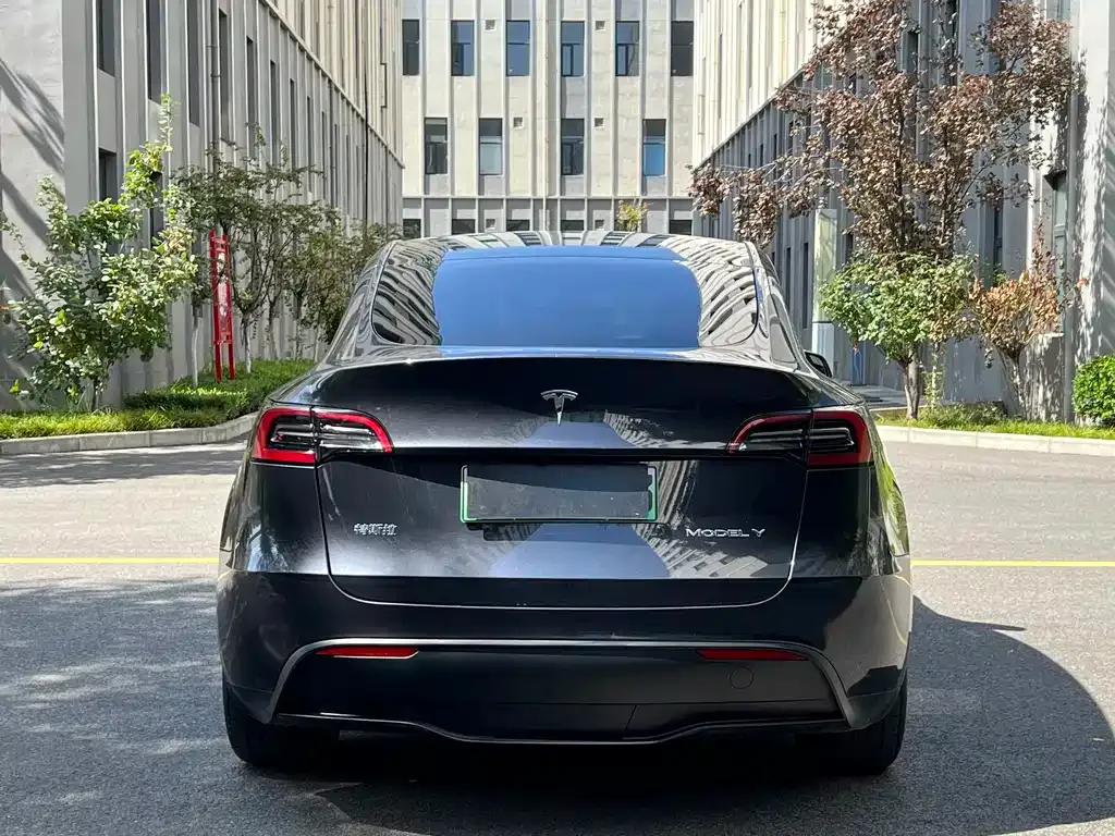 Tesla Model Y — фото 7