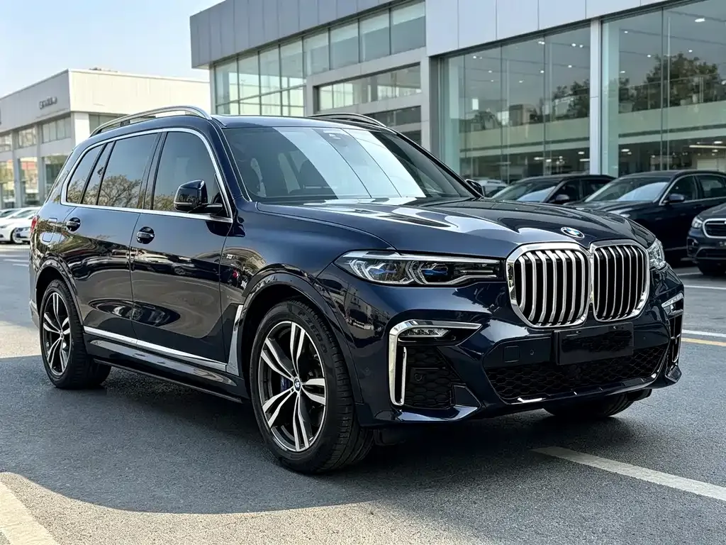 BMW X7 — фото 7