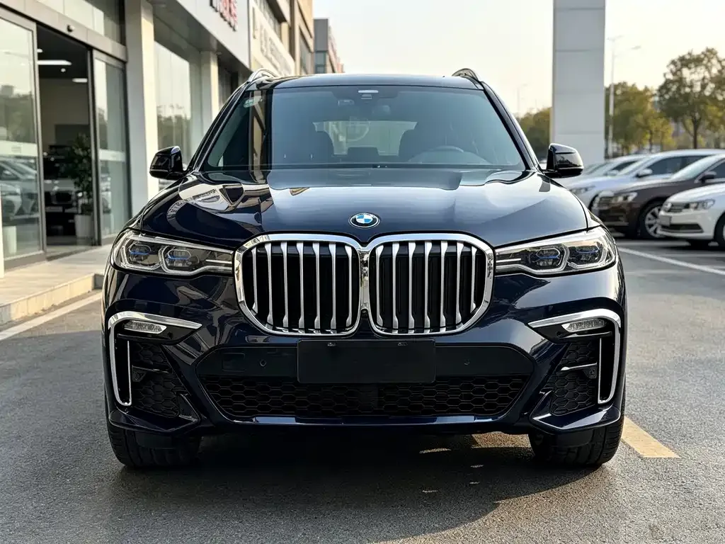 BMW X7 — фото 5