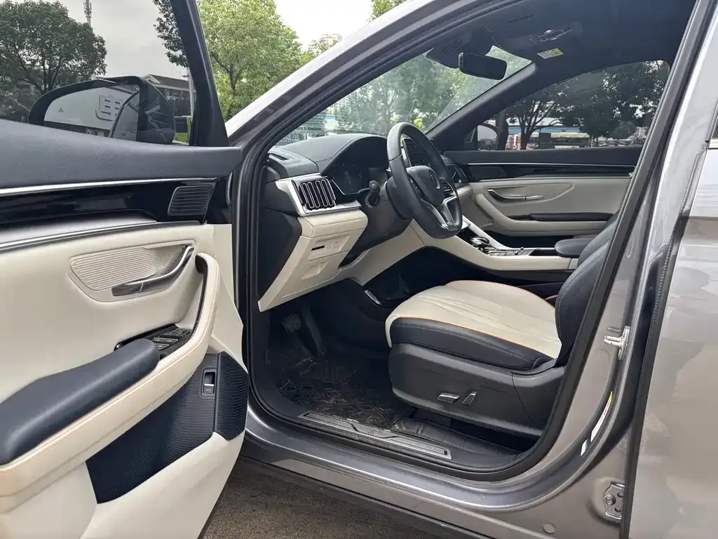 BYD PLUS New Energy — фото 3