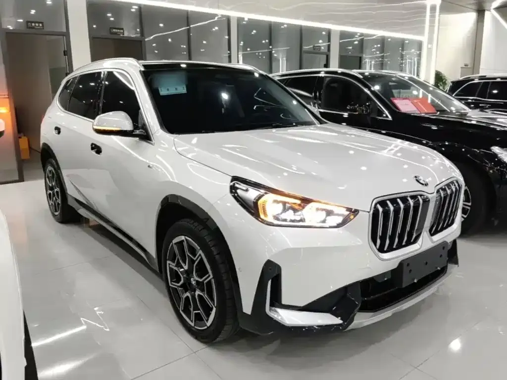 BMW X1 — фото 4
