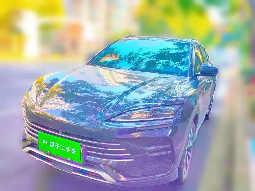 BYD PLUS New Energy — фото 1