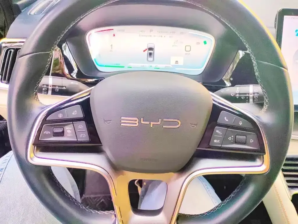 BYD PLUS New Energy — фото 8