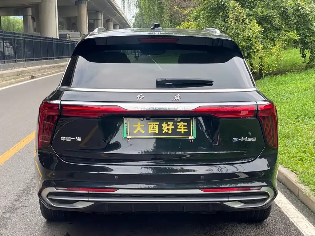 Hongqi E-HS9 — фото 8