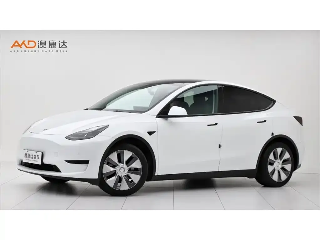 Tesla Model Y — фото 1