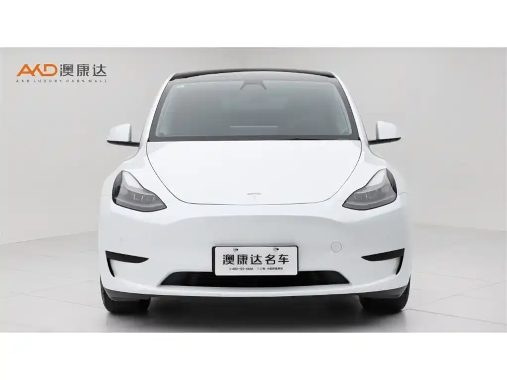 Tesla Model Y — фото 6