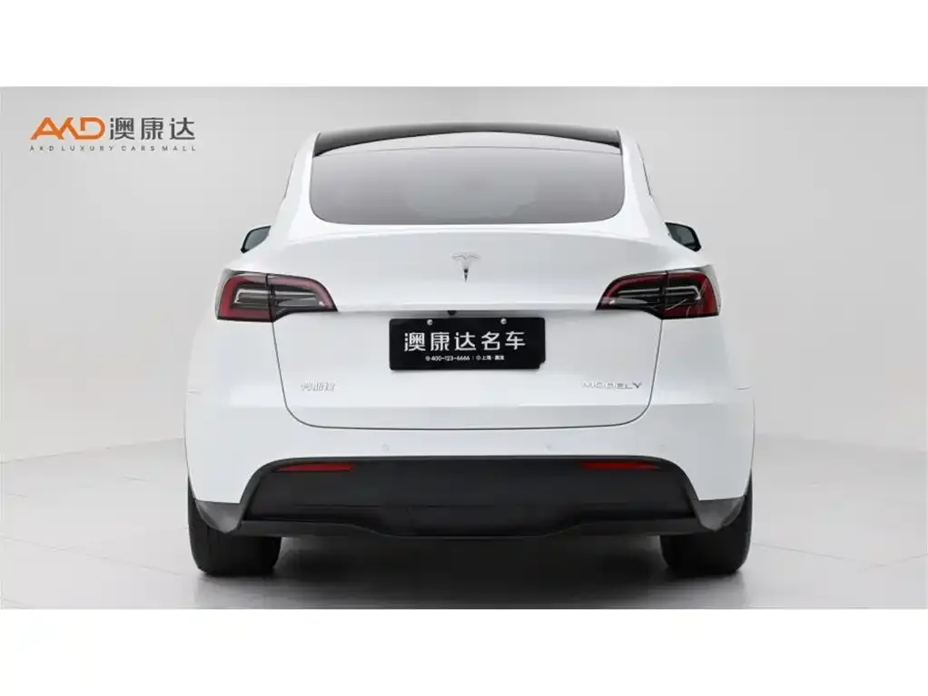 Tesla Model Y — фото 5