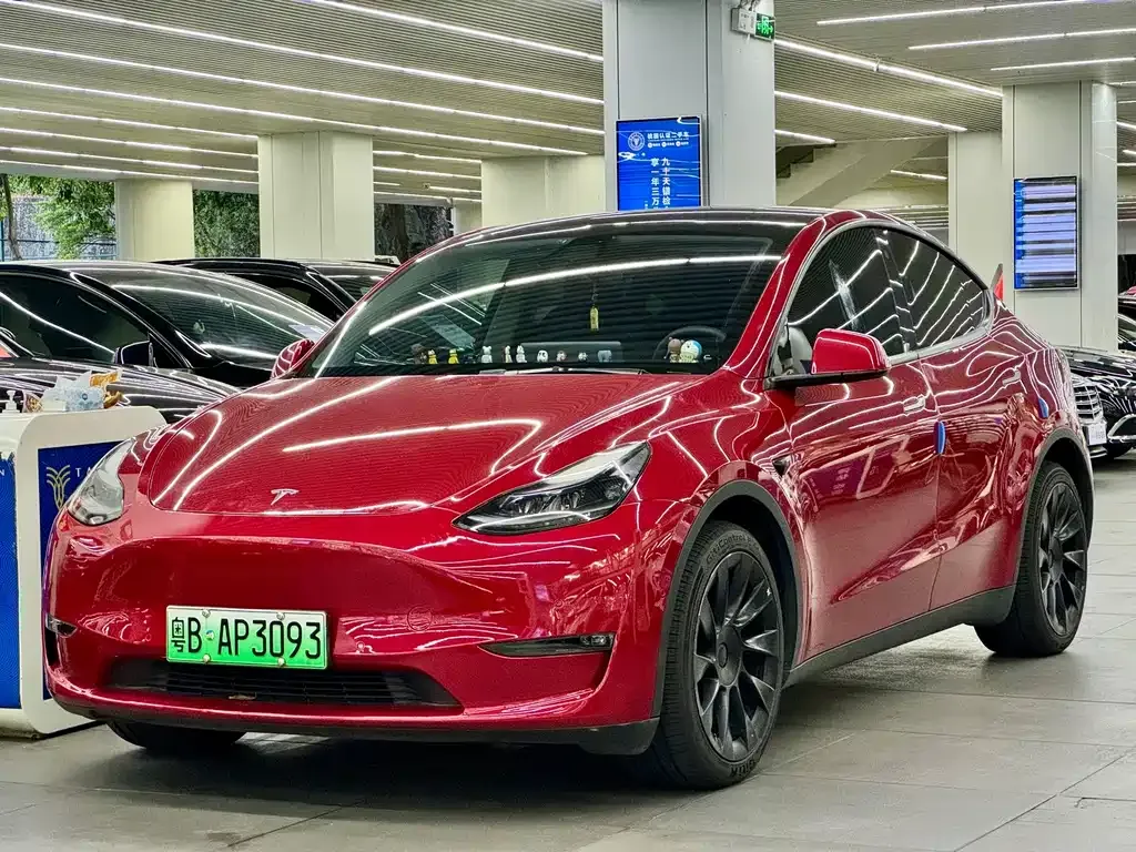 Tesla Model Y — фото 1