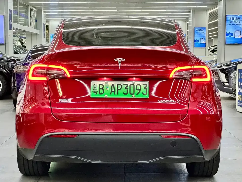 Tesla Model Y — фото 6