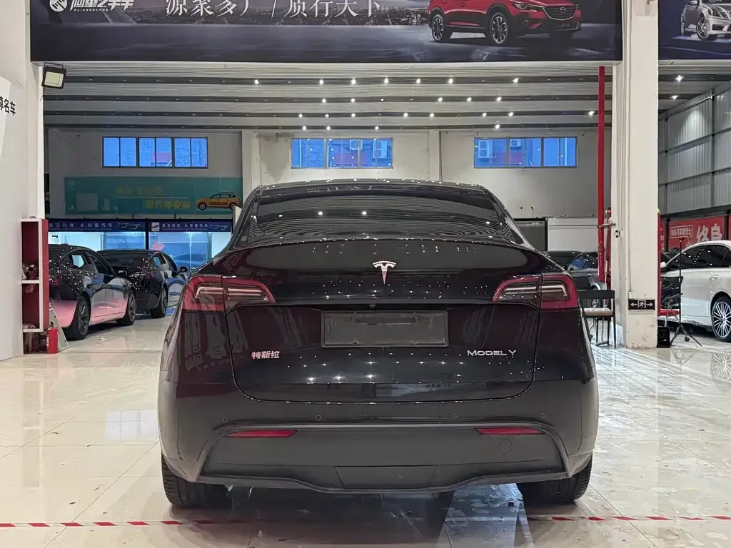 Tesla Model Y — фото 6