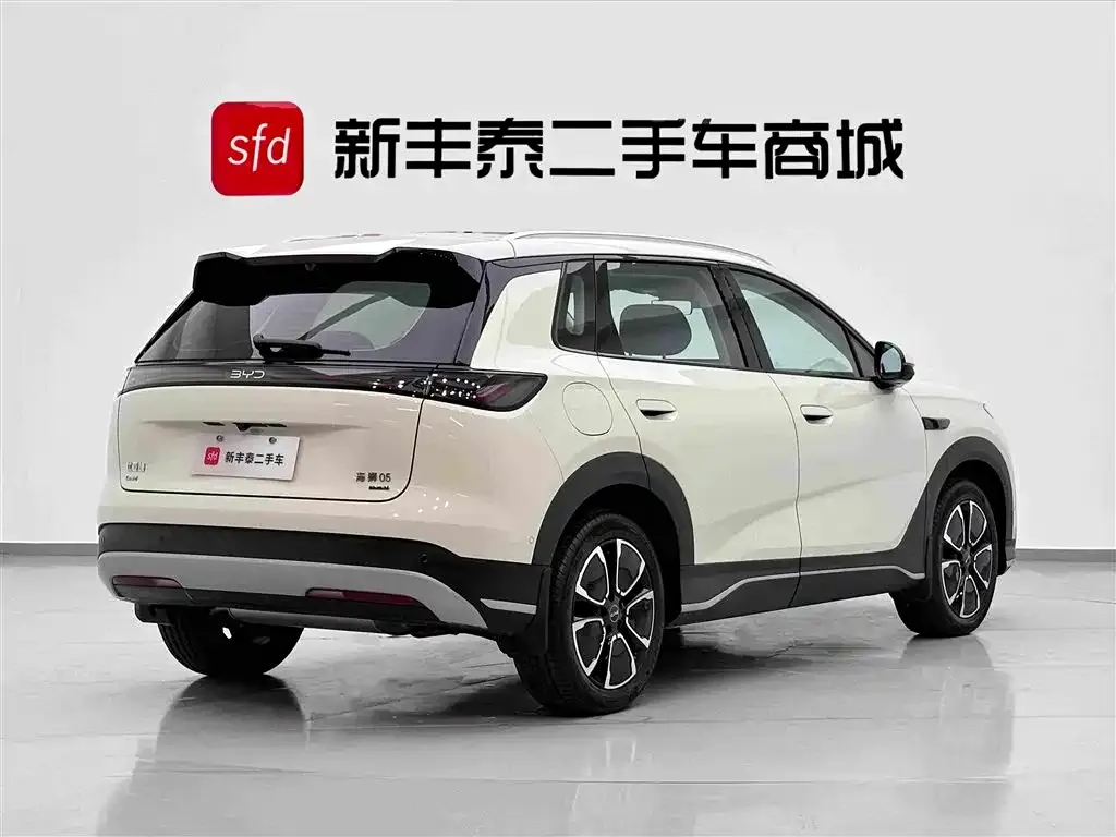 BYD Sealion 05 DM-i — фото 6