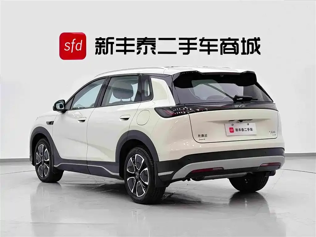 BYD Sealion 05 DM-i — фото 9