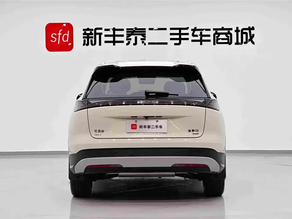 BYD Sealion 05 DM-i — фото 2