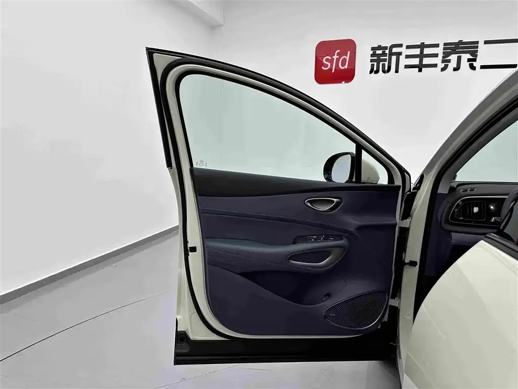 BYD Sealion 05 DM-i — фото 7